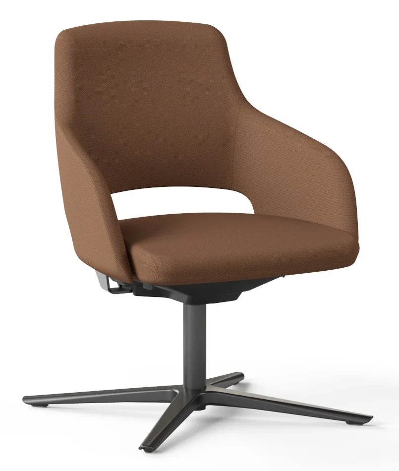Meeting Chair Vela